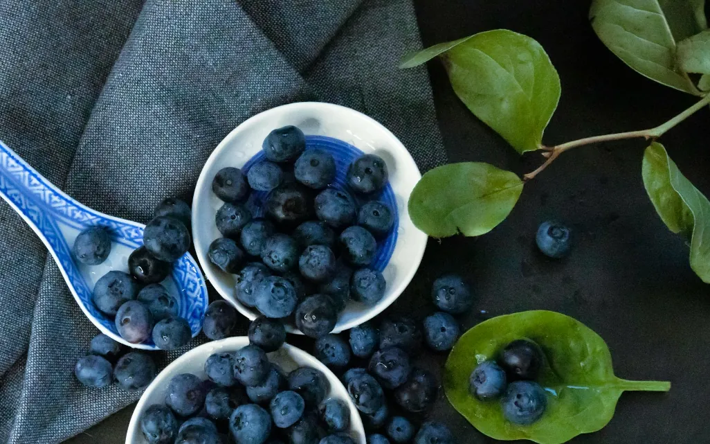Arándanos frescos