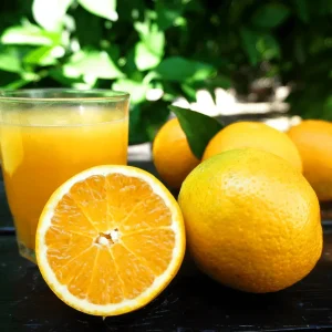 Naranjas de Valencia de zumo