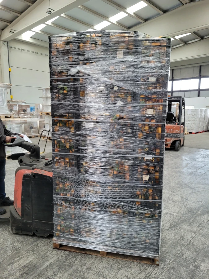 Super Palé de naranjas valencianas